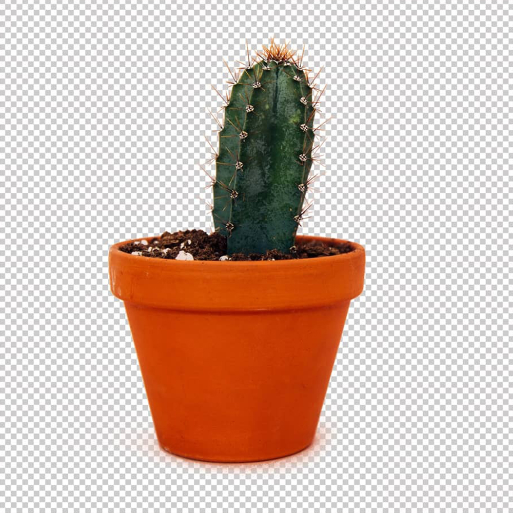 minimal, minimalism, simple design, clean design, sleek, uncluttered, flat design, bare, light design, whitespace, modern, contemporary, current trends, modernist, new age, updated style, chic, urban modern, trendy minimal, lifestyle modern, neutral tones, soft colors, pastel minimal, beige aesthetic, warm minimalism, muted colors, cream tones, ivory, off-white, subtle palette, scandi style, nordic minimal, hygge, lagom, cozy minimal, Nordic design, Scandinavian interior, Danish style, Swedish modern, Icelandic vibe, zen design, Japanese minimalism, wabi sabi, muji aesthetic, tokyo minimal, shoji, tatami, kintsugi, Japanese simplicity, calm zen, geometric minimal, abstract minimal, line art, flat lines, shapes, symmetry, grids, angles, clean edges, vector minimal, monochrome, black & white minimal, grayscale, high contrast, tonal, muted monochrome, color block, single tone, shade minimal, duotone, minimal lifestyle, minimal workspace, digital minimal, clutter free, slow living, capsule wardrobe, eco minimal, modern product, minimal branding, flat lay minimal, minimal architecture, modern building, clean interiors, open space, empty room, airy design, structured minimal, glass minimalism, concrete minimal, minimalist home, calm, serenity, balance, harmony, clarity, openness, lightness, purity, elegance, refined